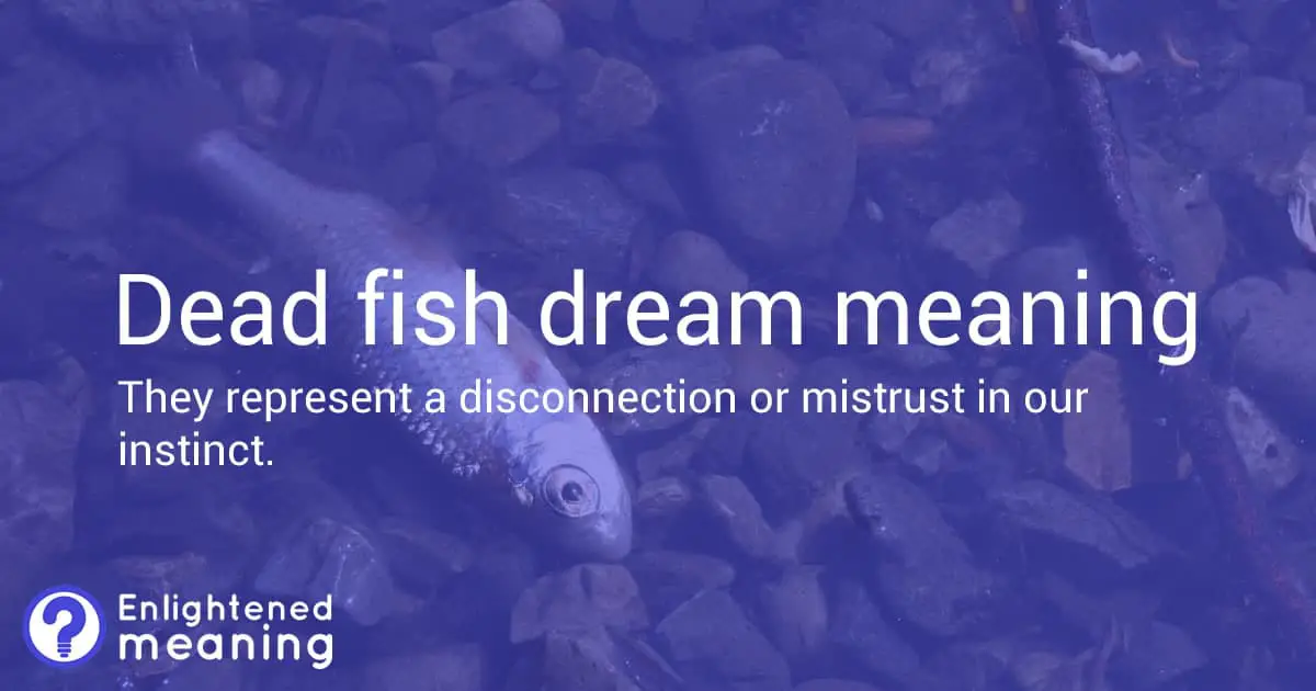 Dead Fish Dream Meaning: Interpretation and Symbolism - Enlightened Meaning