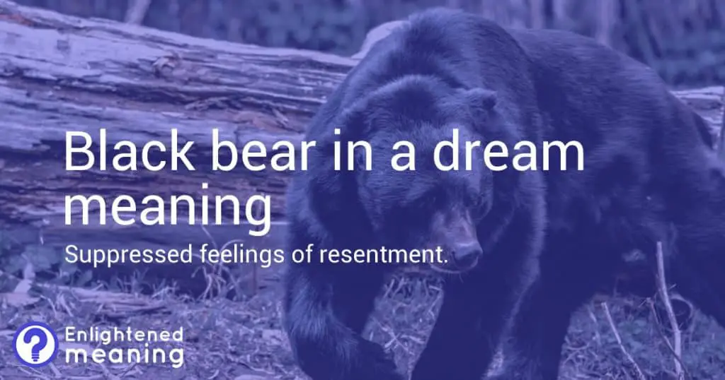 Black bear in a dream