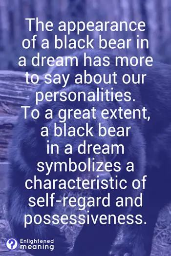 Black bear in a dream