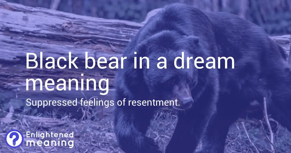 What Does It Mean To Dream About A Black Bear - Spiritual Interpretation -  iPublishing