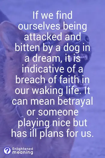 Dog attack dream interpretation and meaning