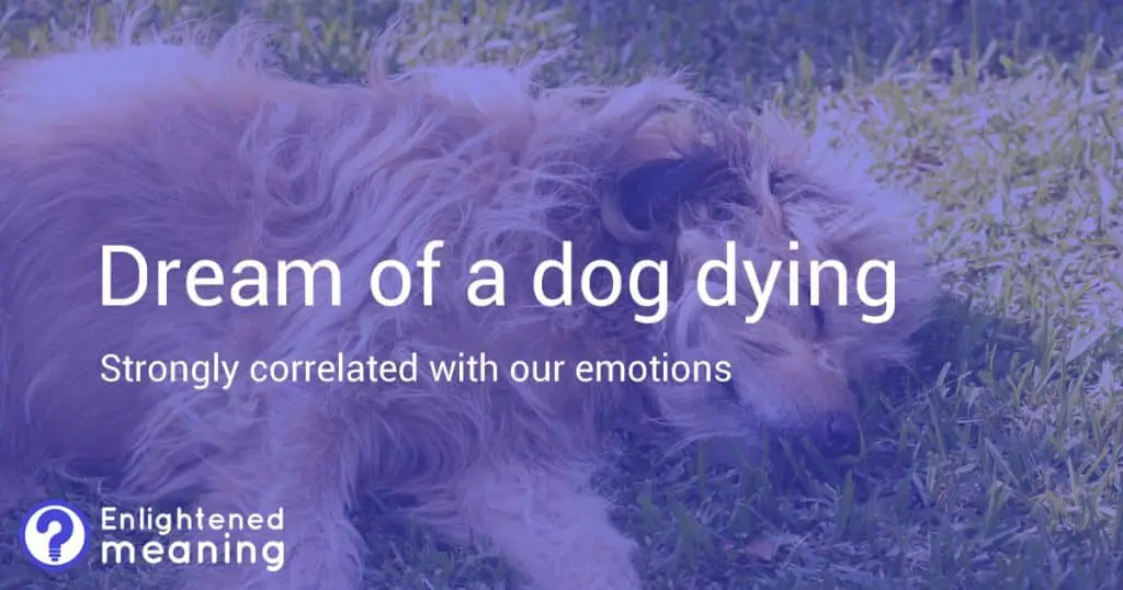 Dream of a dog dying