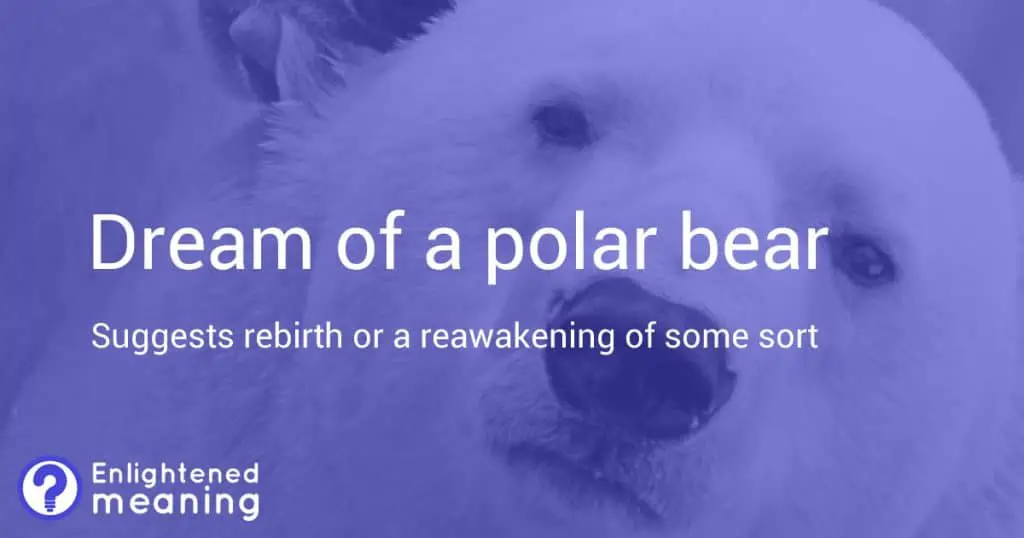 Dream of a polar bear meaning