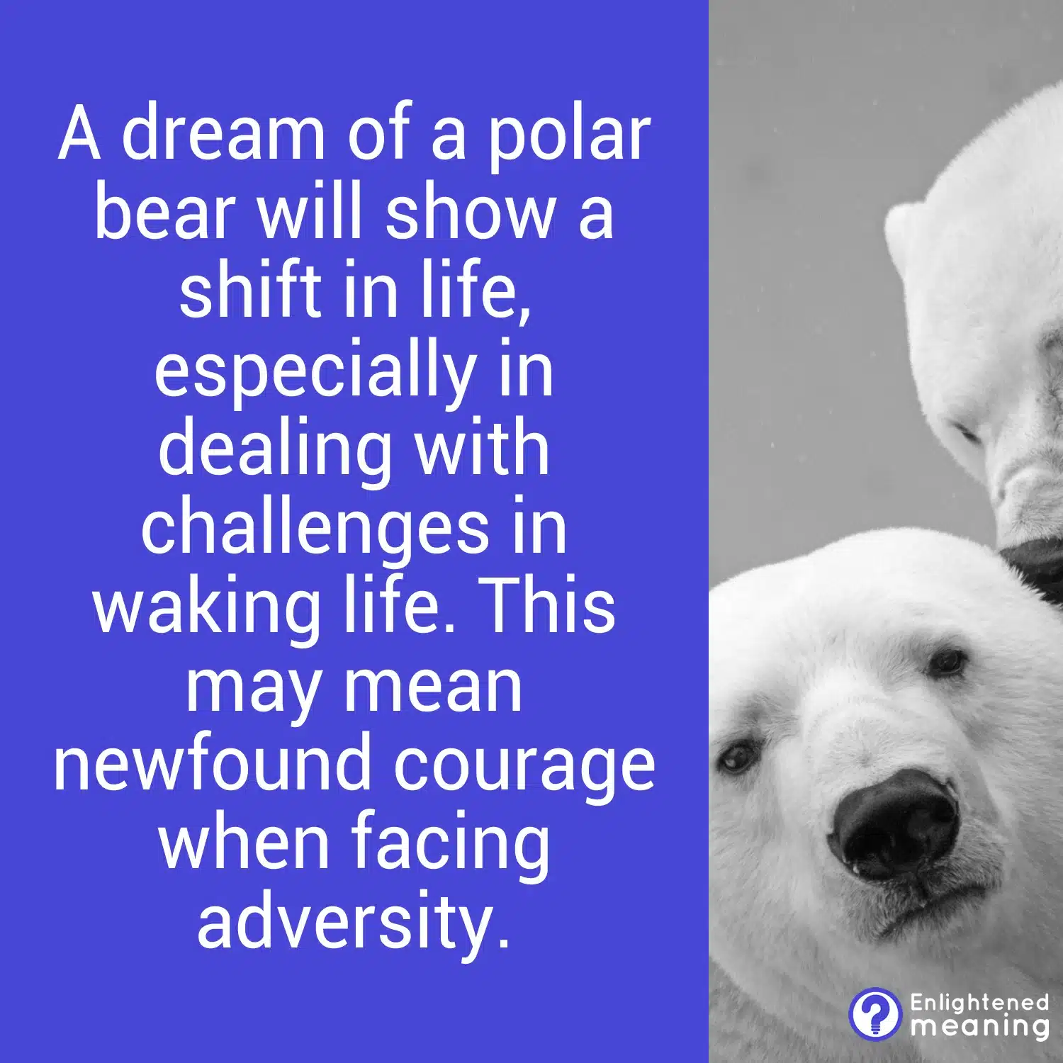 Dream of a polar bear