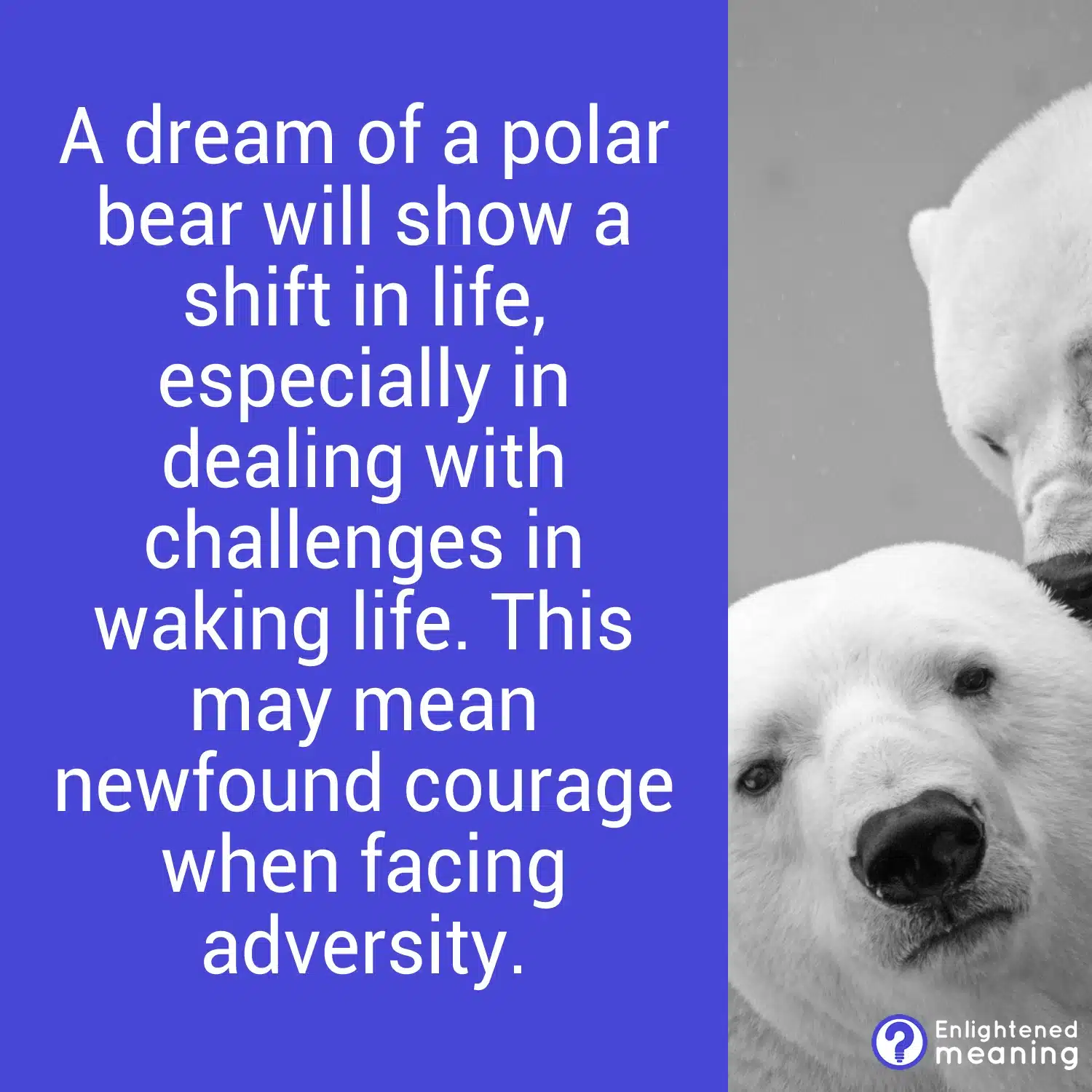 Polar Bear  Cosmic Animal Meanings, Messages & Dreams