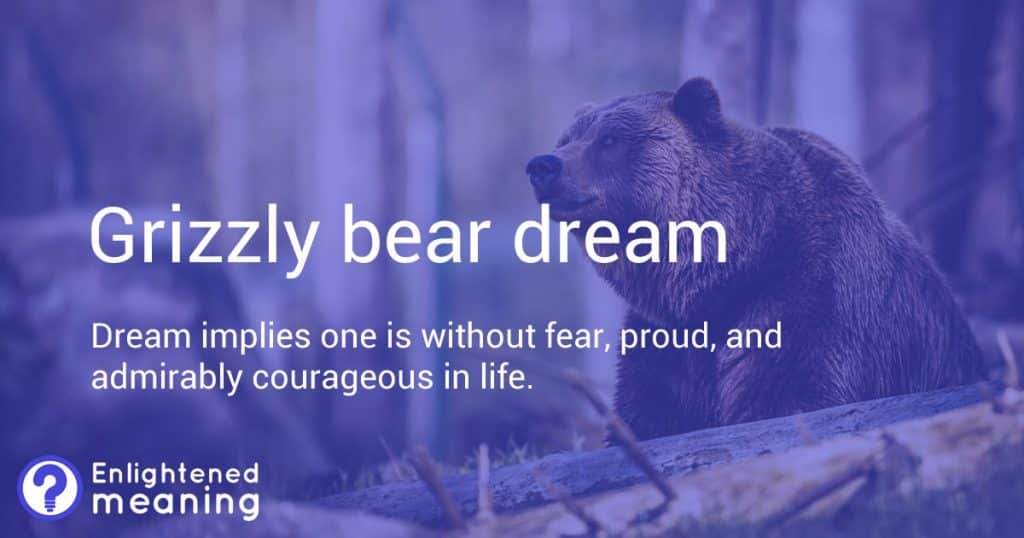 Grizzly bear dream