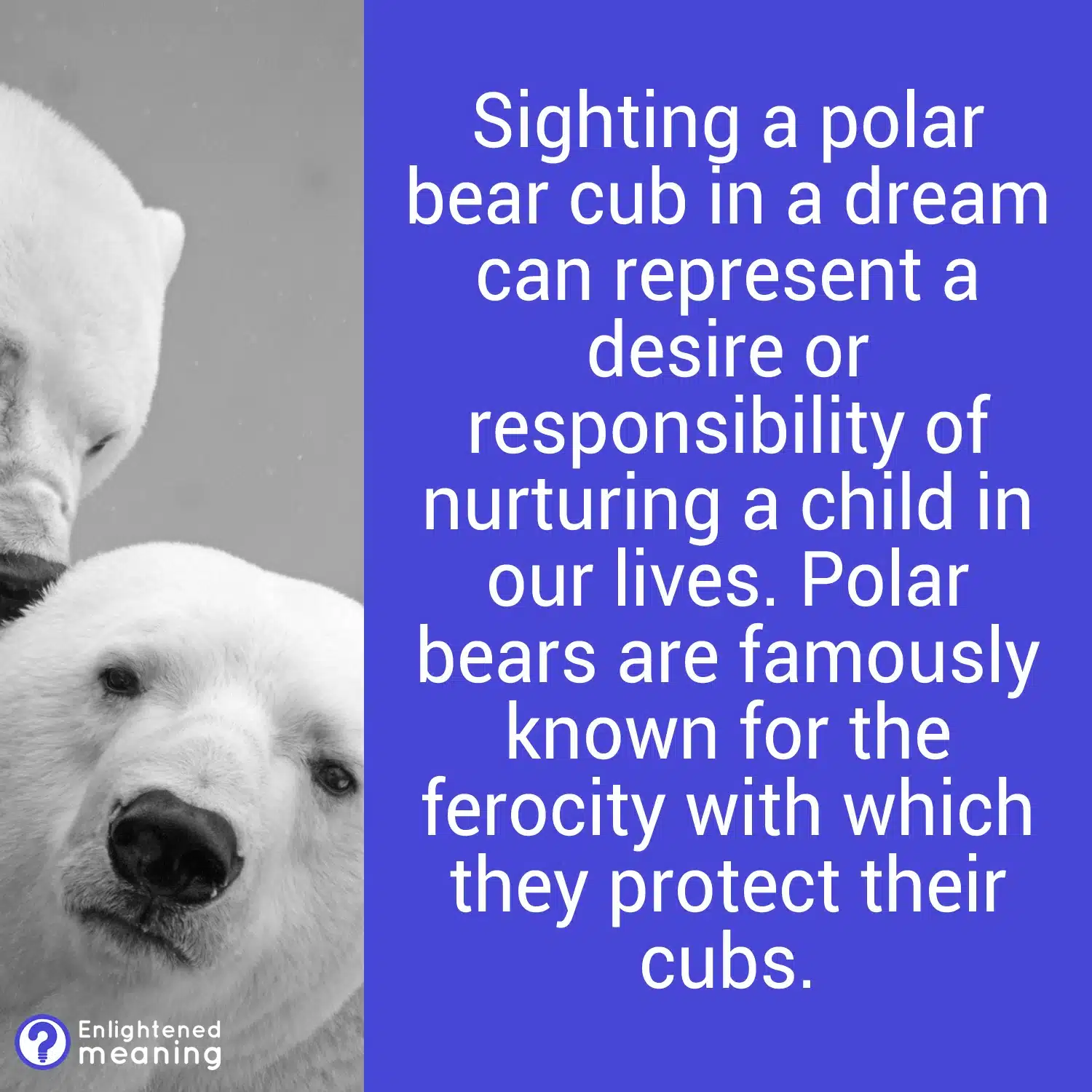 Polar bear cub dream meaning