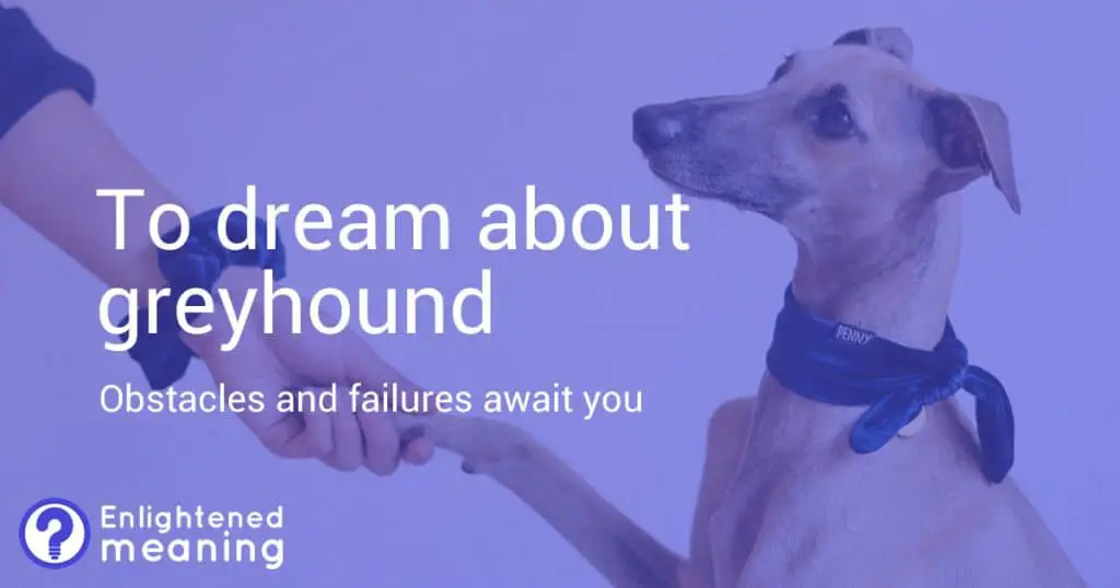 To dream about greyhound meaning