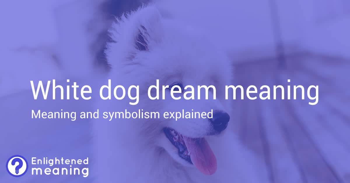 White dog dream