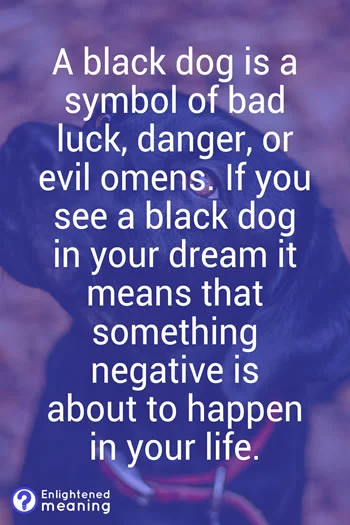 Black dog in dream meaning