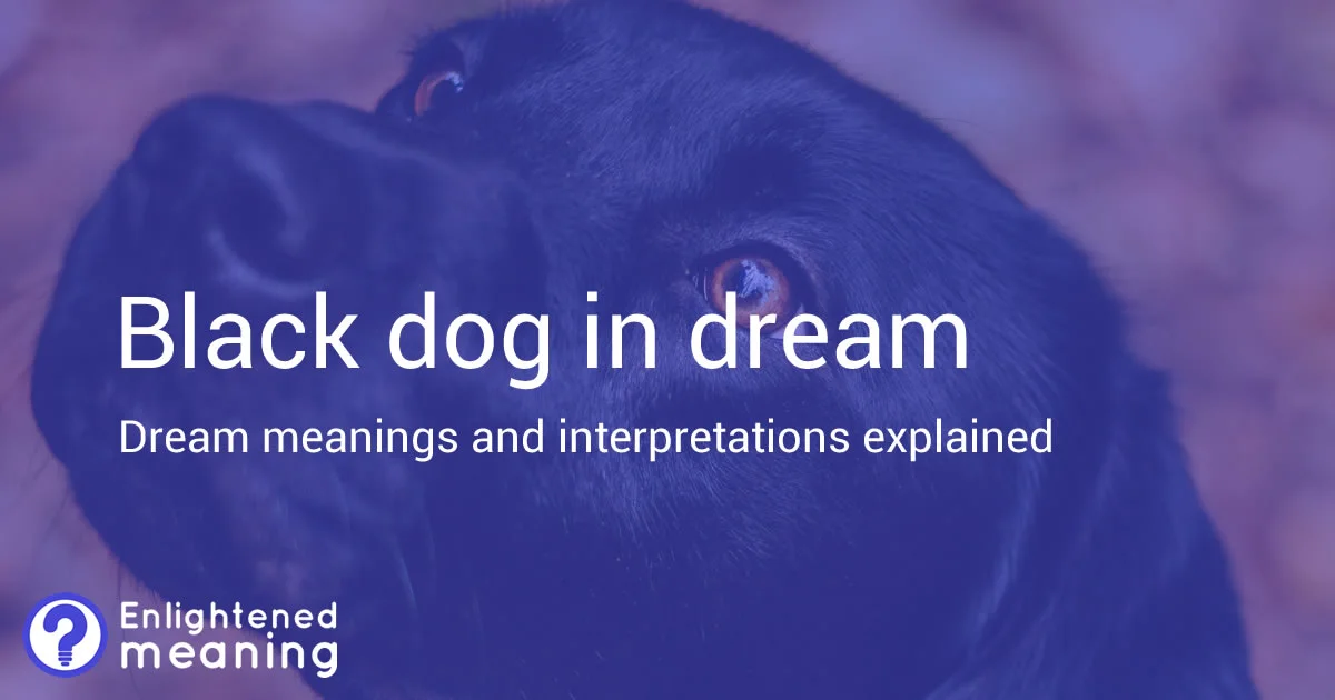 Black dog in dream