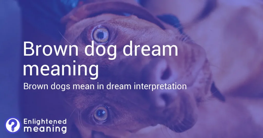 Brown Dog Dream Meaning