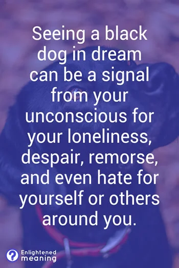 Seeing Black Dog in Dream