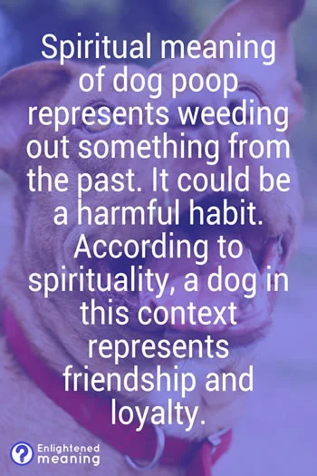 Spiritual meaning of dog poop