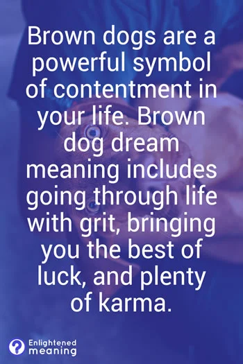 Brown dog dream meaning and symbolism