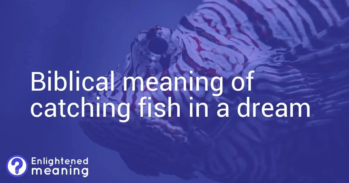 Biblical Meaning Of Catching Fish In a Dream: A Revelation of God's