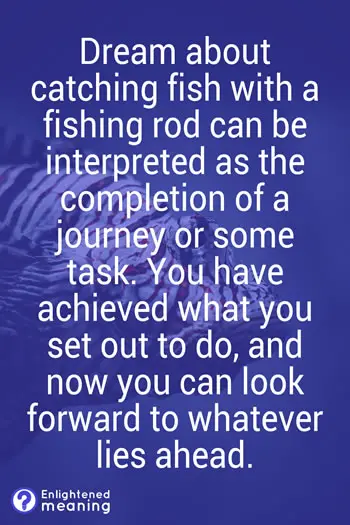 Dream of Catching Fish With a Fishing Rod