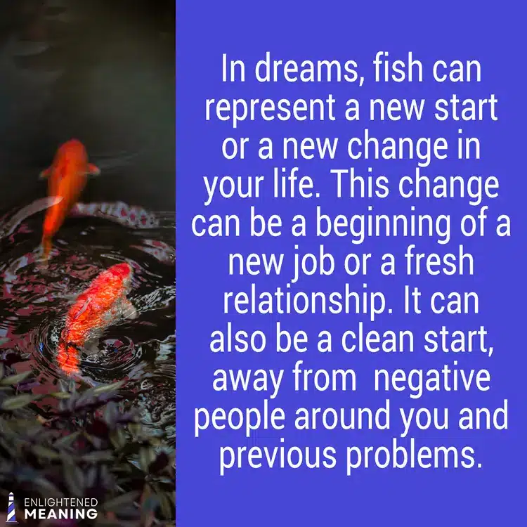 Fish dream meaning and symbolism