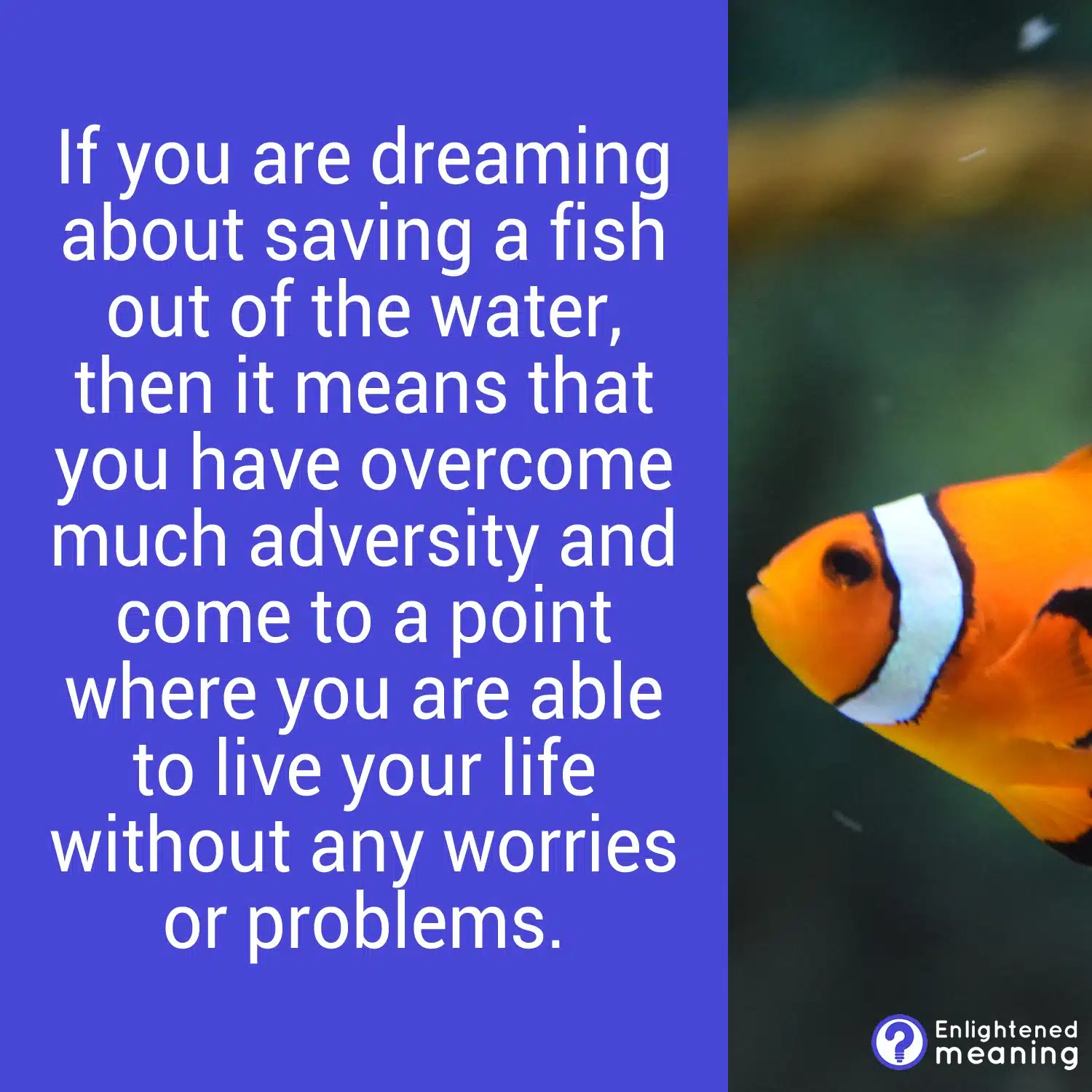 Fish dream meaning and symbolism