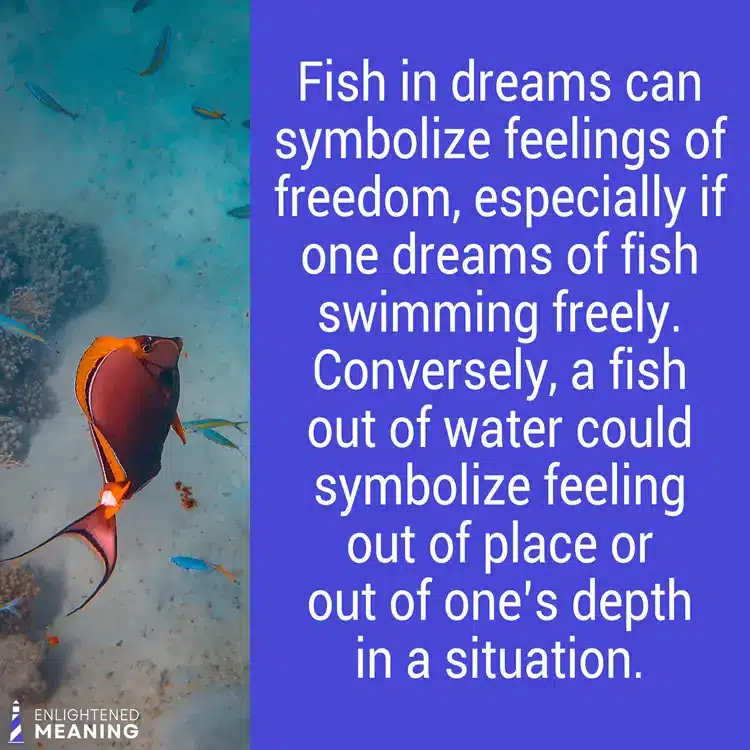 The symbolism of a fish in a dream