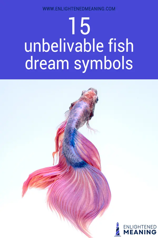 What is the meaning of fishes in a dream