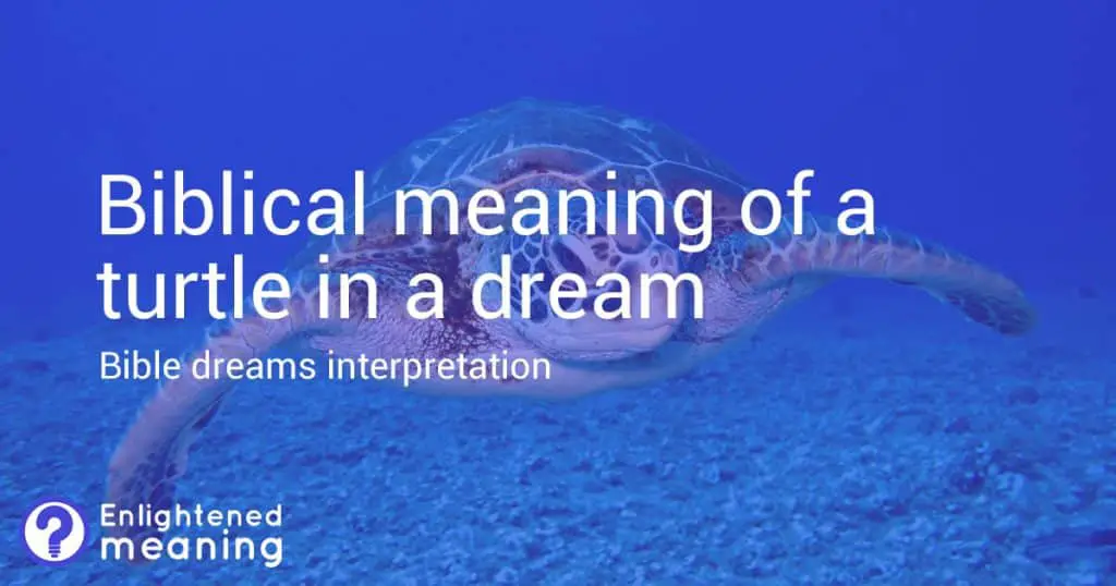 Biblical meaning of a turtle in a dreams