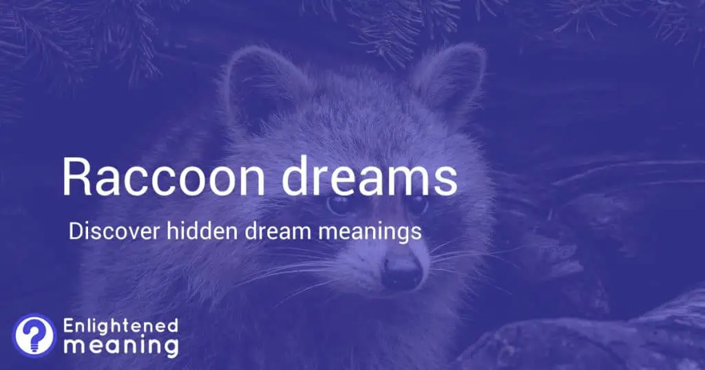 Raccoon dreams