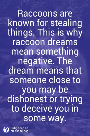 Raccoon dreams meaning