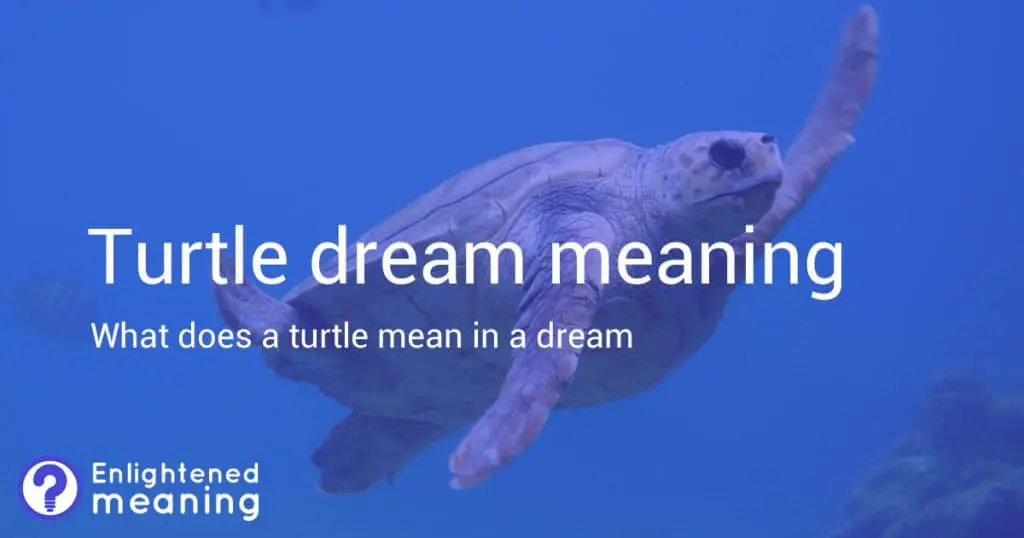 Turtle dream meaning
