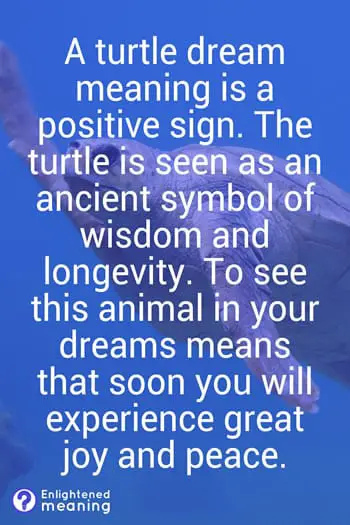 Turtle Dream Meaning - What Does a Turtle Mean in a Dream
