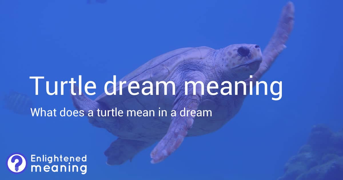 Turtle Dream Meaning & Symbolism 15 Interpretations of Your Inner