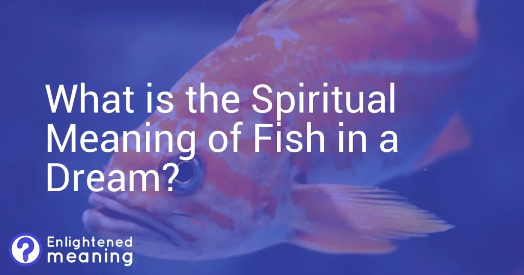 Spiritual Meaning of Fish in a Dream