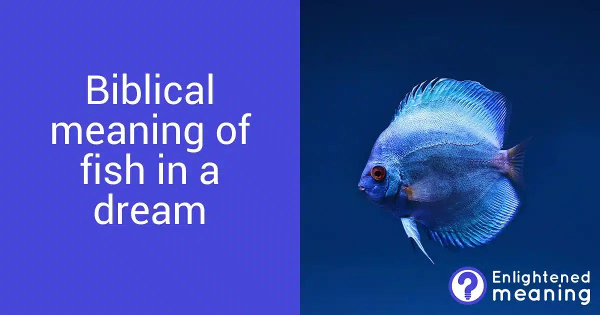 Meaning of fish dreams in the bible