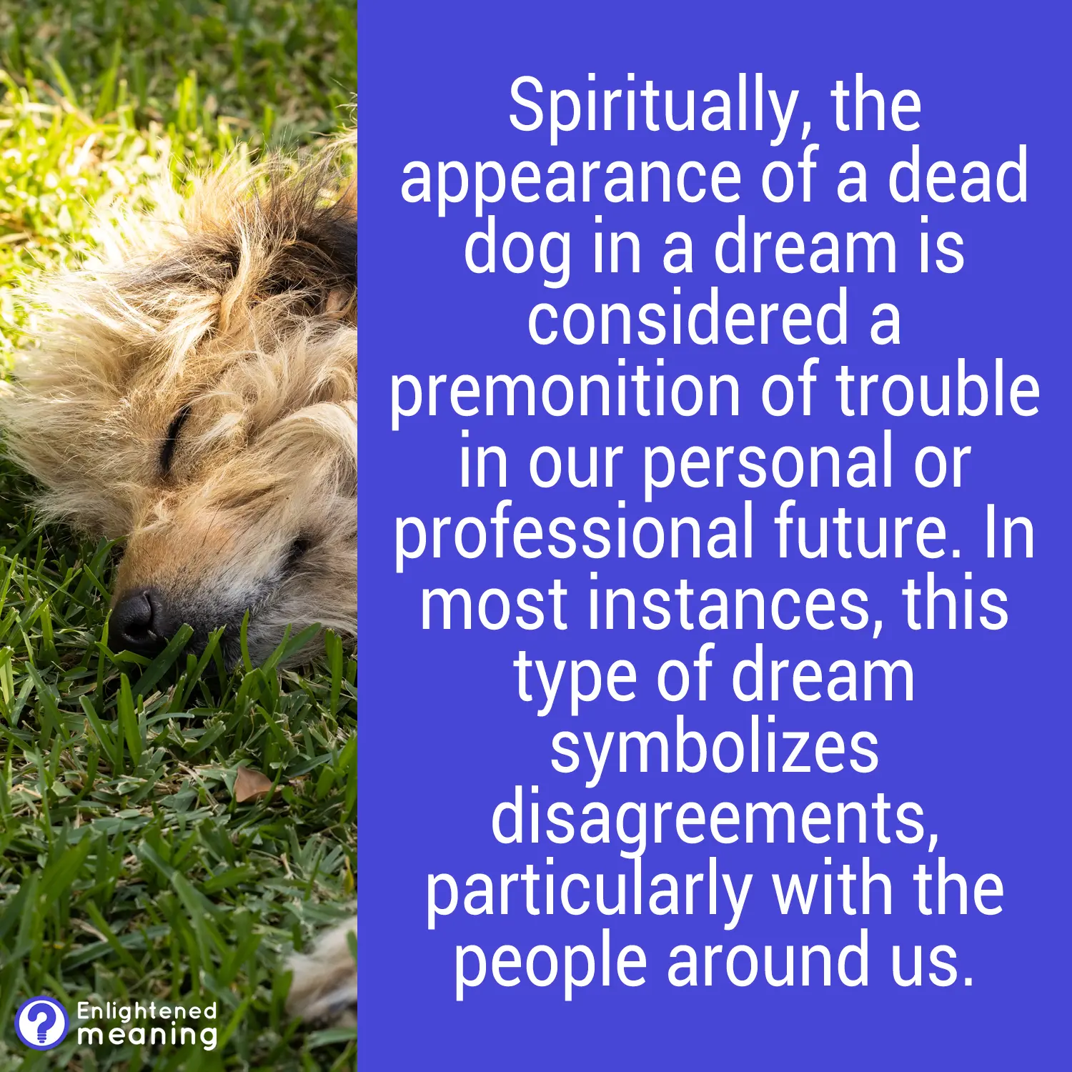Spiritual meaning of dead dogs in dreams