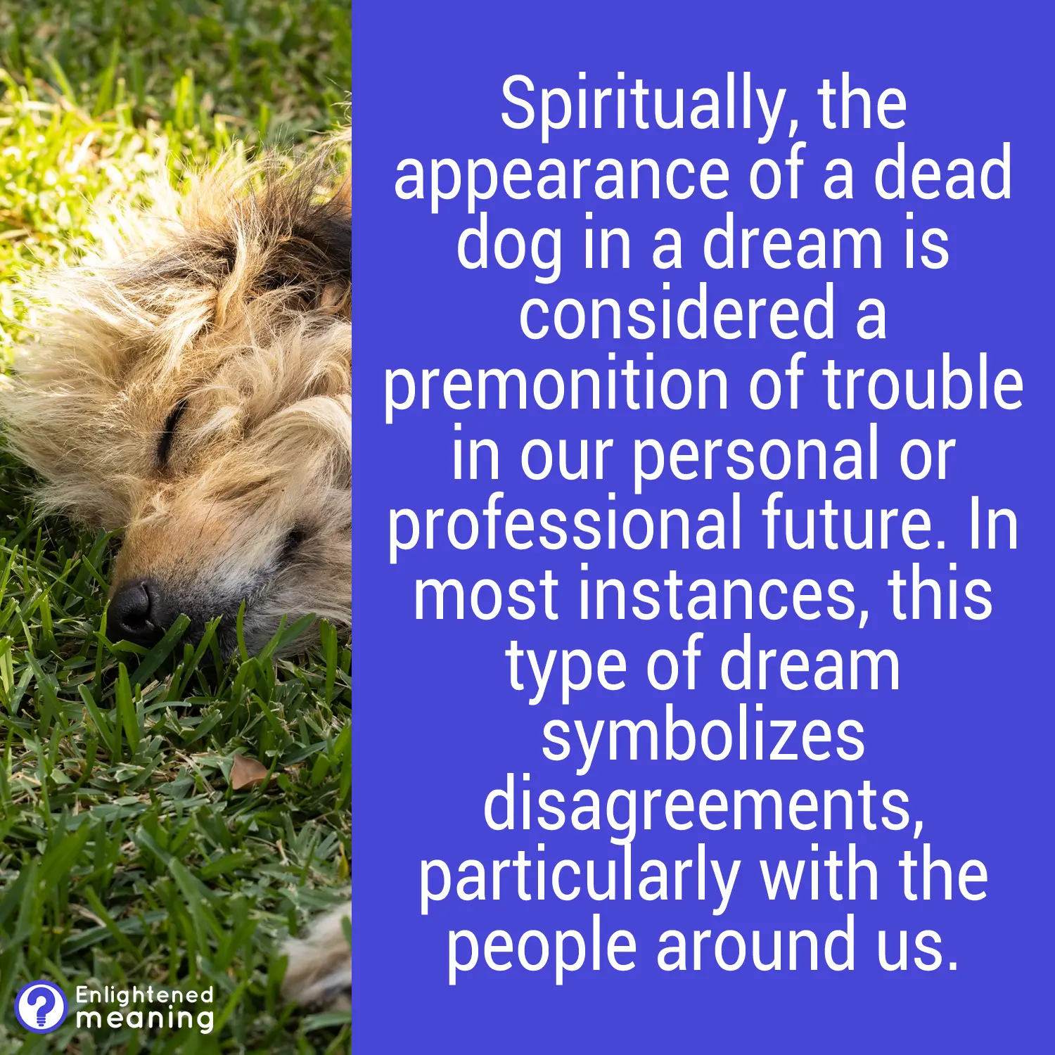 Dream of a Dog Dying: 8 Spiritual Meanings and Symbolism - Enlightened