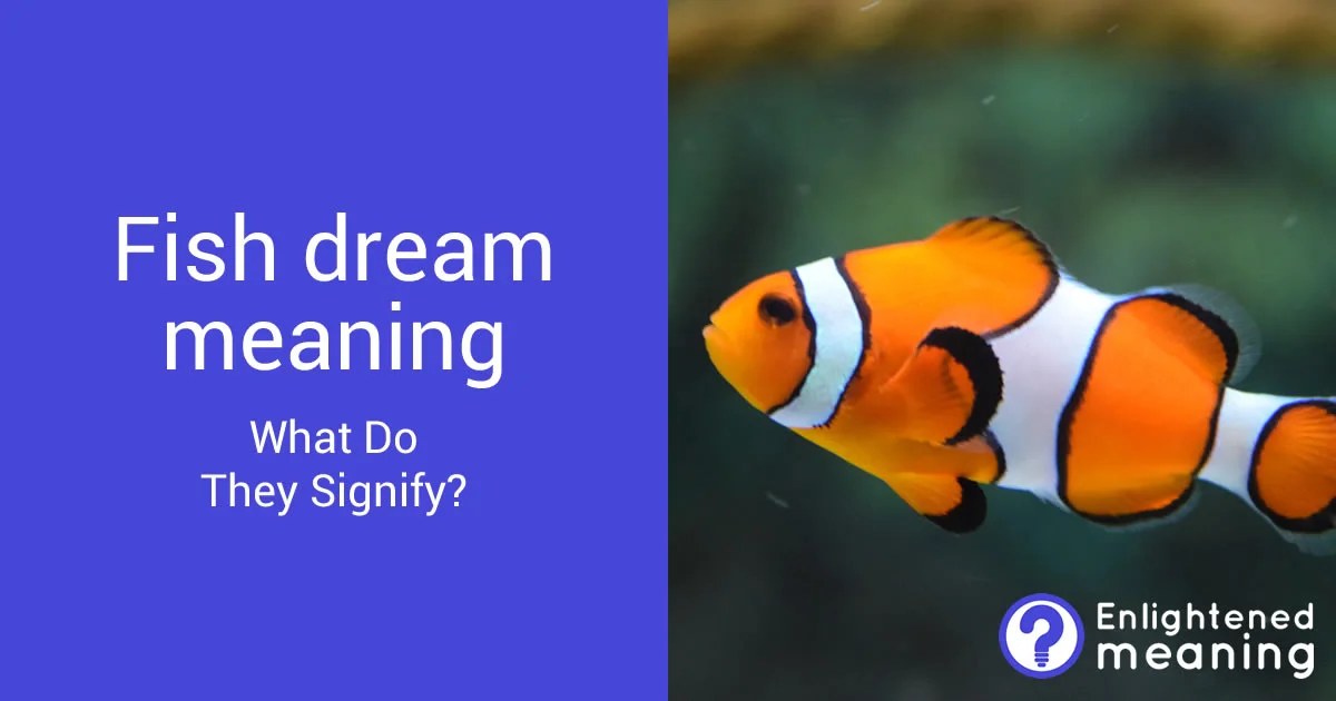 What do fish dreams signify