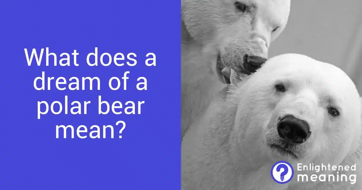 What does a dream of a polar bear mean?