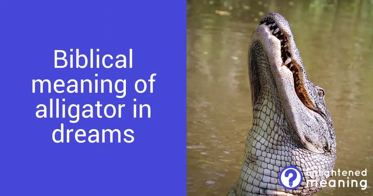 What is the biblical meaning of alligator in dreams