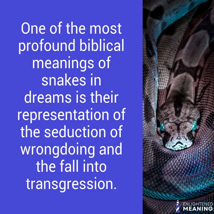 Biblical Meaning of Snakes in Dreams