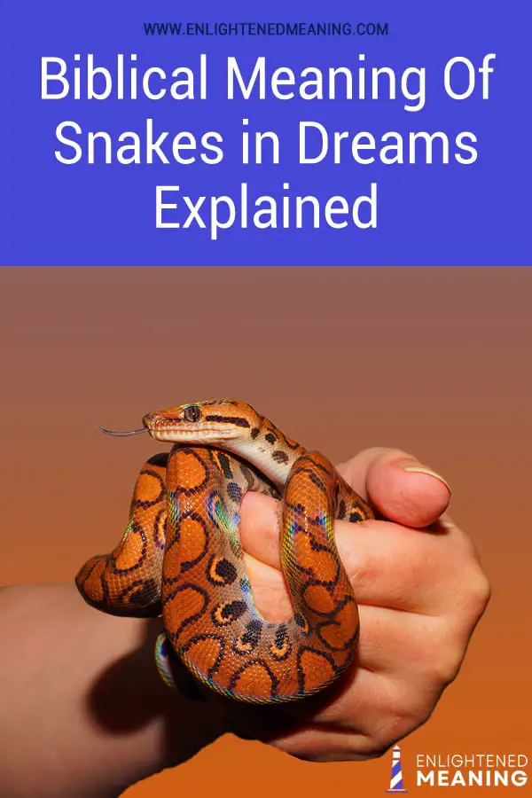Snakes in Dreams Explained